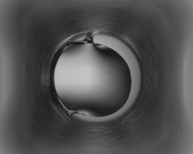 X0000084550536200703231738