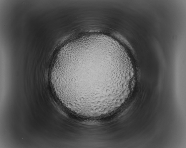 X0000084550537200703231738