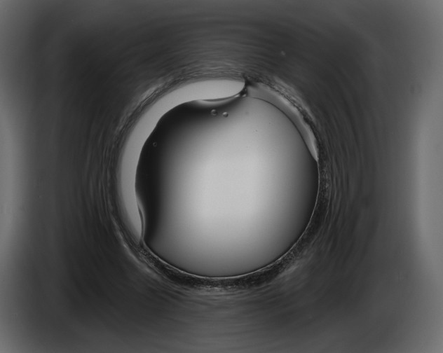 X0000084550538200703231738