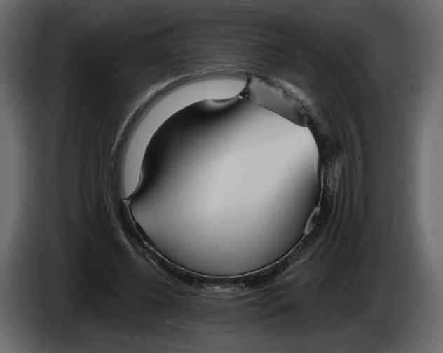 X0000084550540200703231738