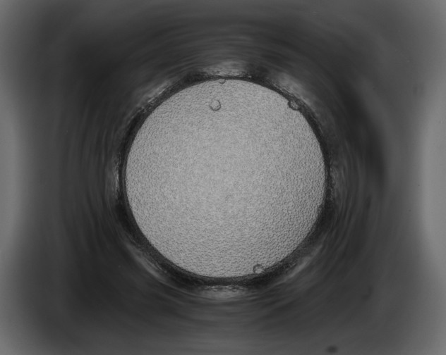 X0000084550541200703231738