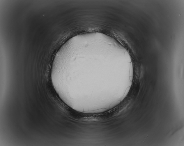 X0000084550545200703231738