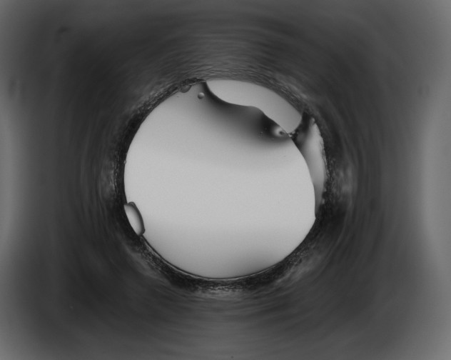 X0000084550546200703231739