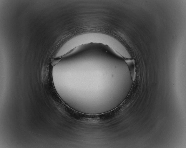 X0000084550548200703231739