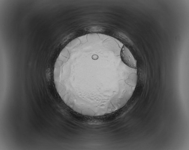 X0000084550549200703231739