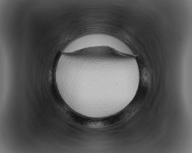 X0000084550551200703231739