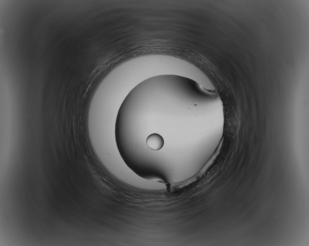 X0000084550552200703231739