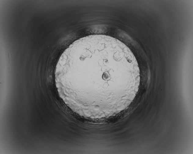 X0000084550553200703231739