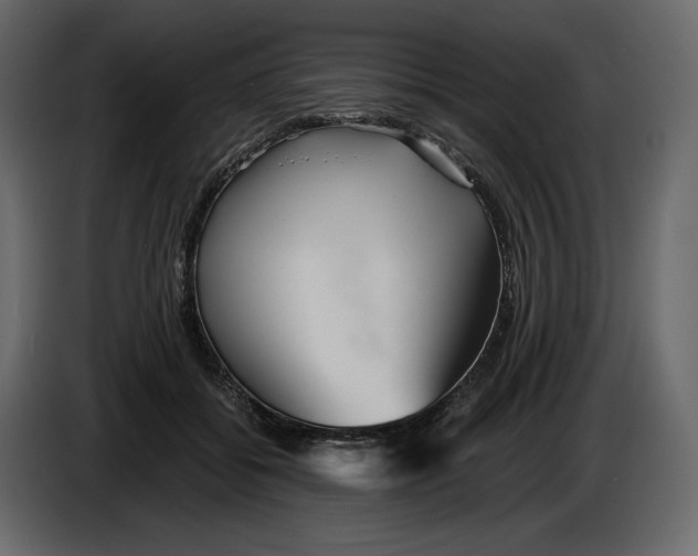 X0000084550556200703231739