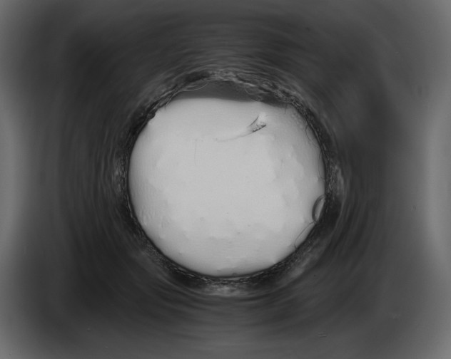 X0000084550557200703231739