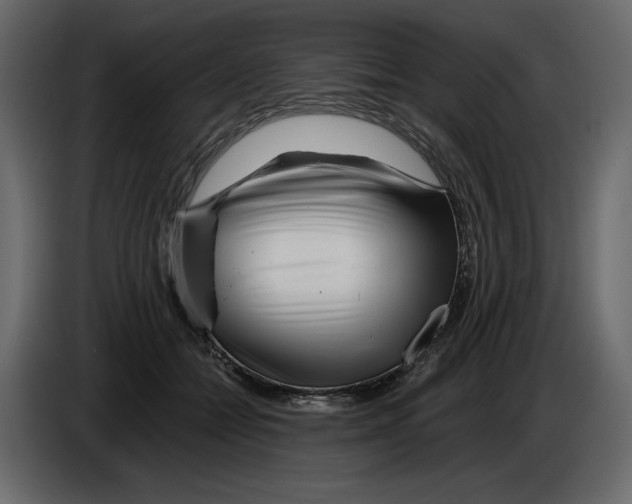 X0000084550558200703231739