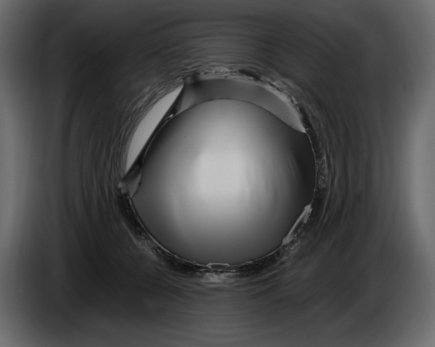 X0000084550560200703231739