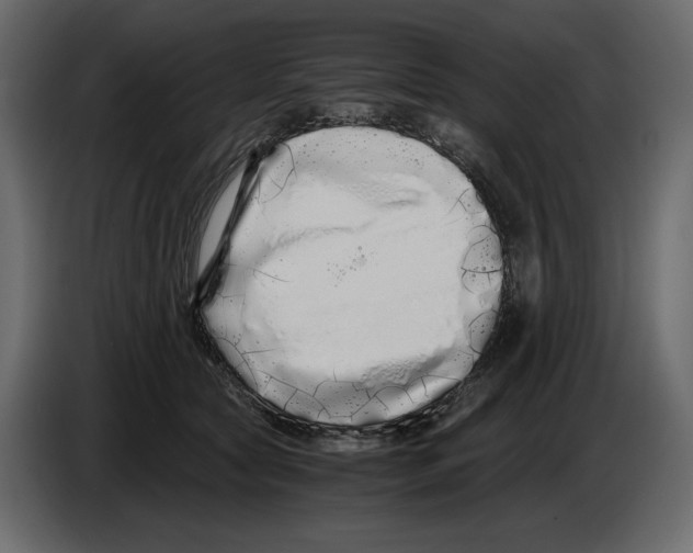 X0000084550561200703231739