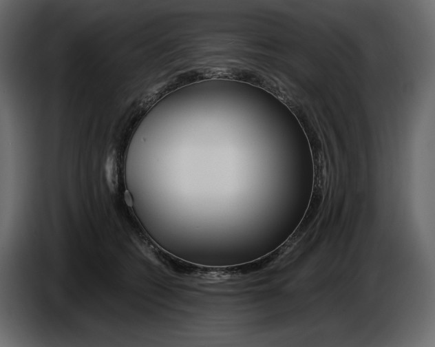 X0000084550562200703231739