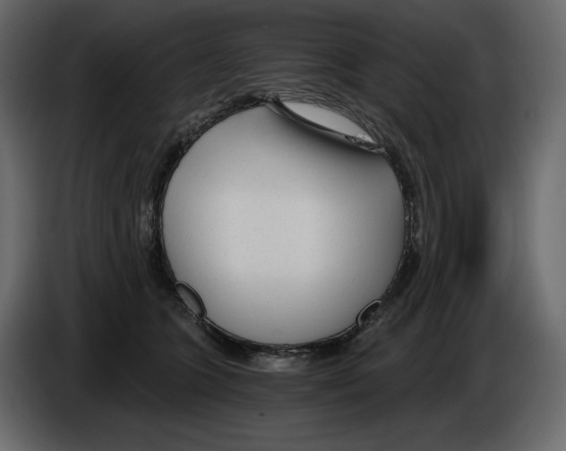 X0000084550563200703231739