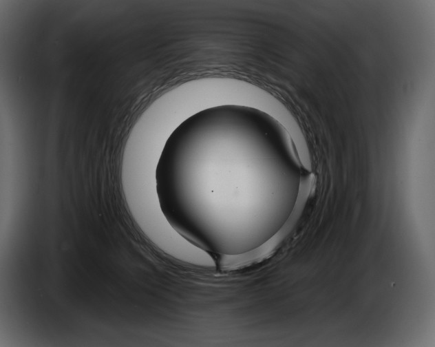 X0000084550564200703231739