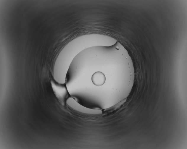 X0000084550566200703231739