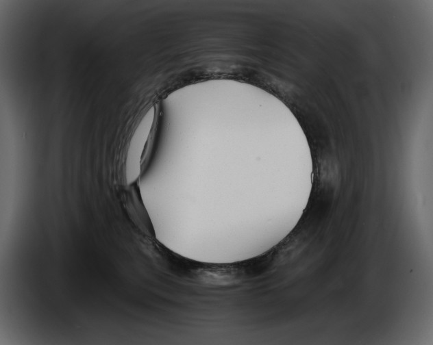 X0000084550567200703231739