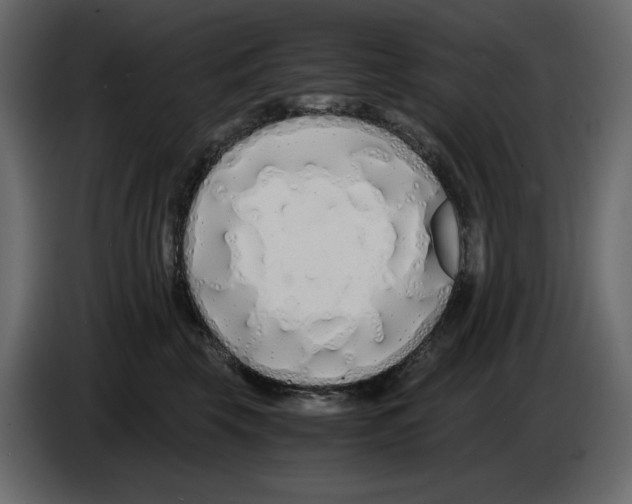 X0000084550569200703231739