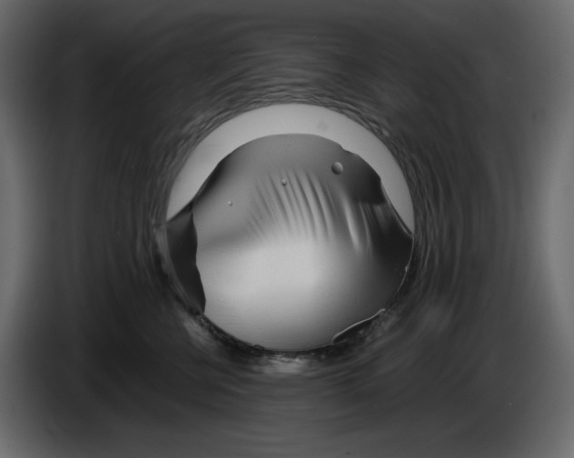 X0000084550570200703231739