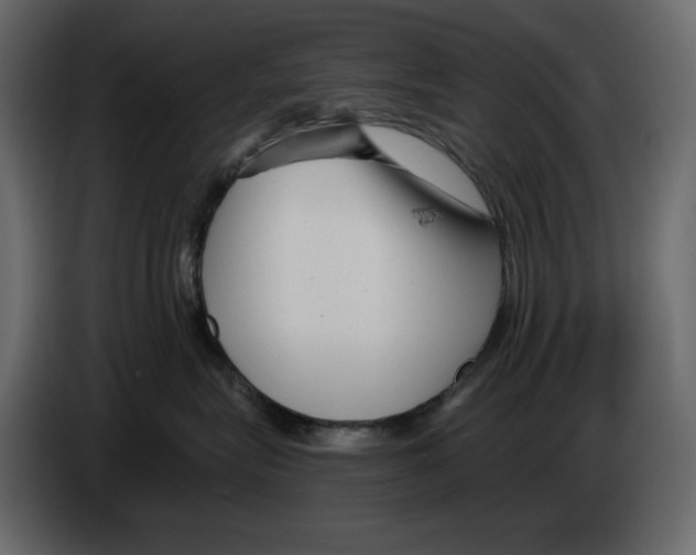 X0000084550575200703231739