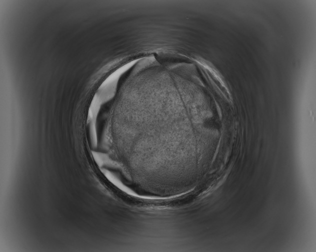 X0000084550577200703231738