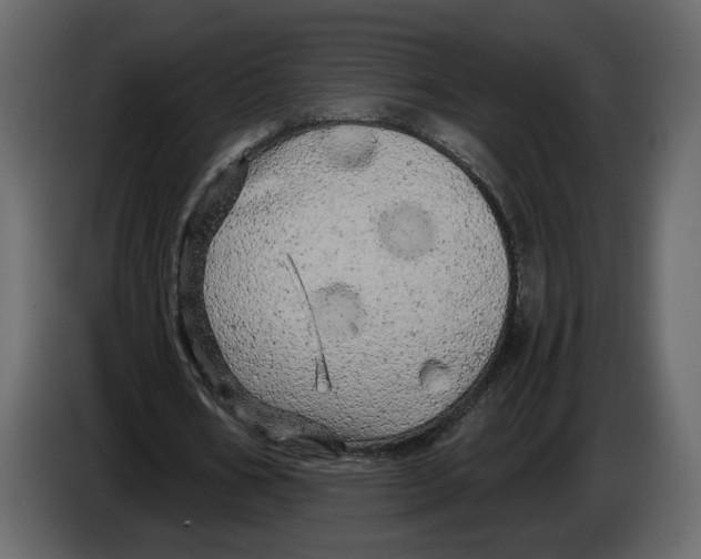 X0000084550578200703231738