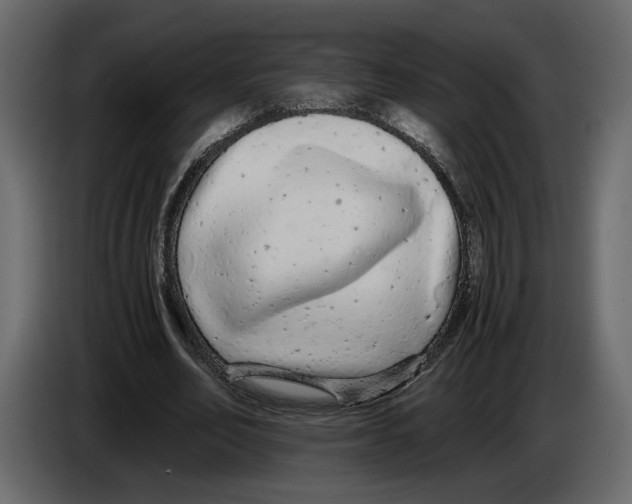 X0000084550582200703231738