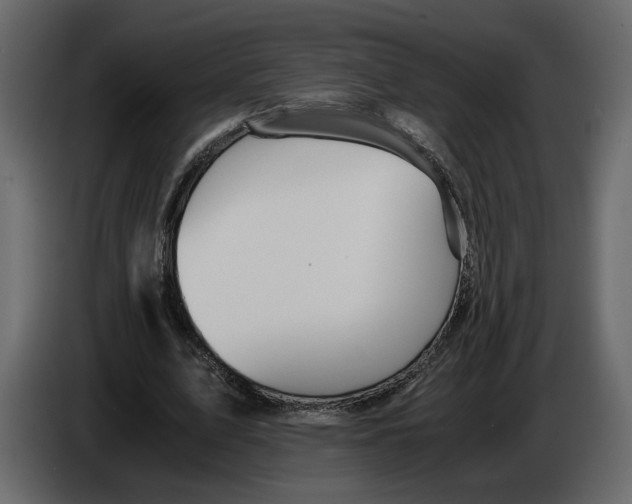 X0000084550583200703231738