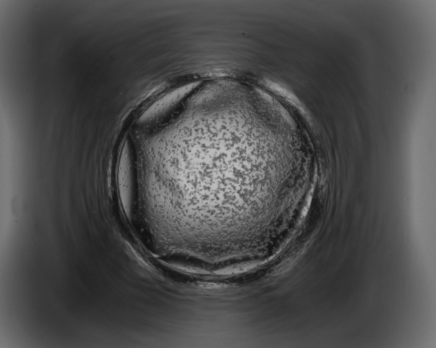 X0000084550585200703231738