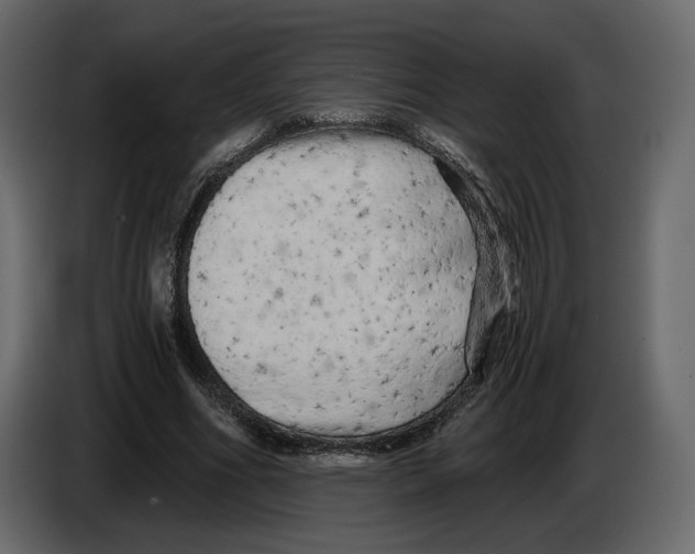 X0000084550586200703231738