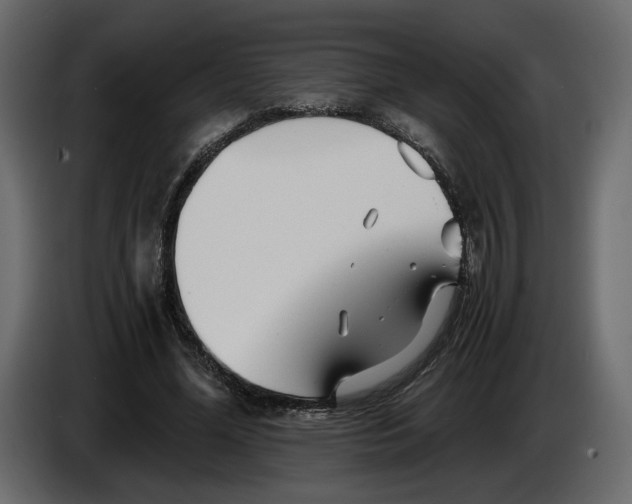 X0000084550588200703231738