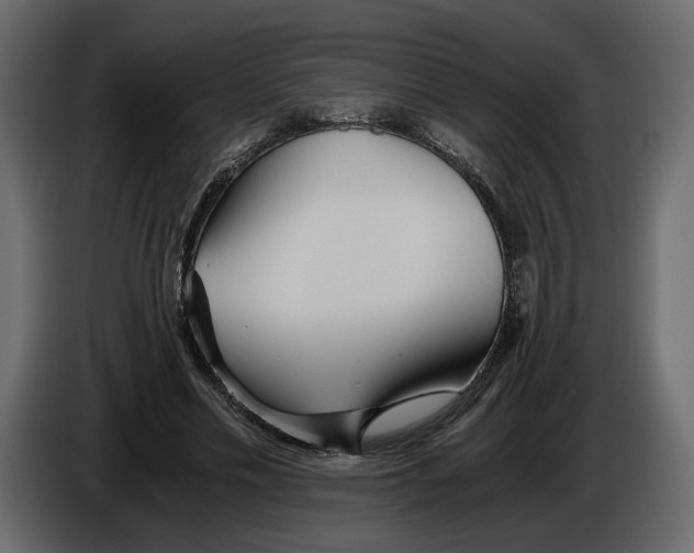 X0000084550589200703231738