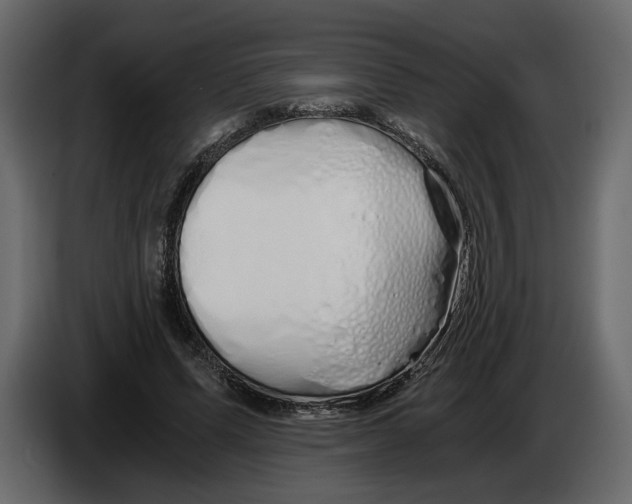 X0000084550591200703231738