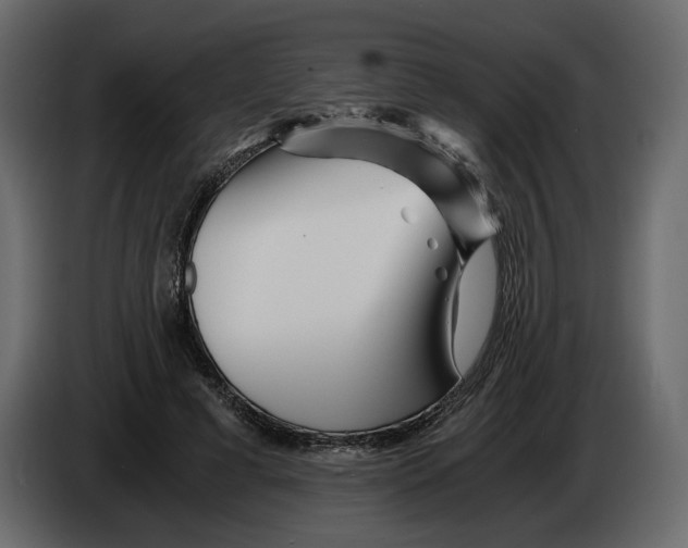 X0000084550593200703231738