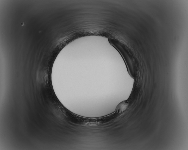 X0000084550595200703231738