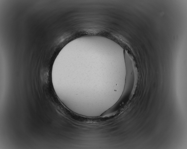 X0000084550596200703231738