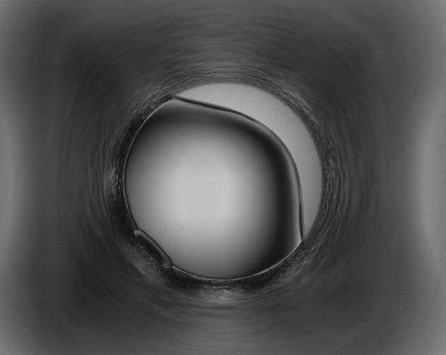 X0000084550597200703231738