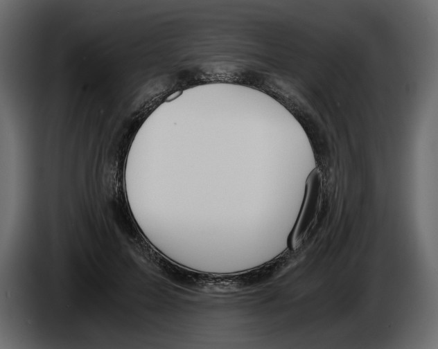 X0000084550599200703231738