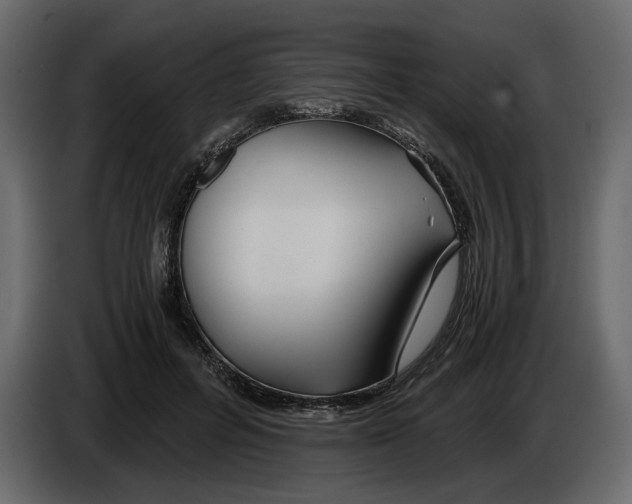 X0000084550600200703231738