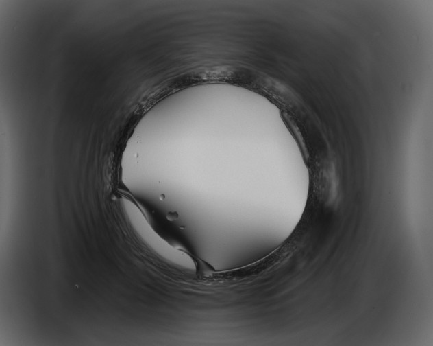 X0000084550604200703231738