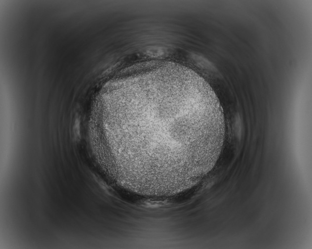 X0000084550606200703231738