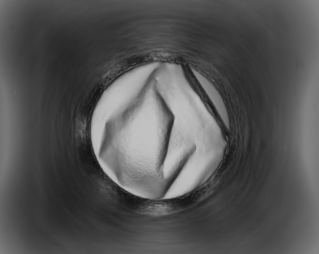 X0000084550610200703231738