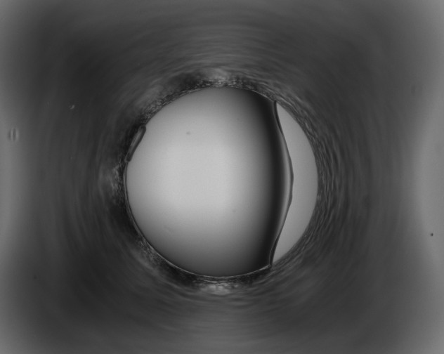 X0000084550611200703231738