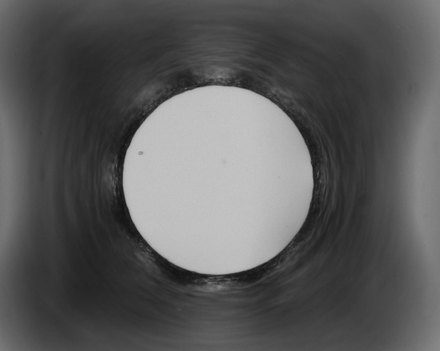 X0000084550612200703231738