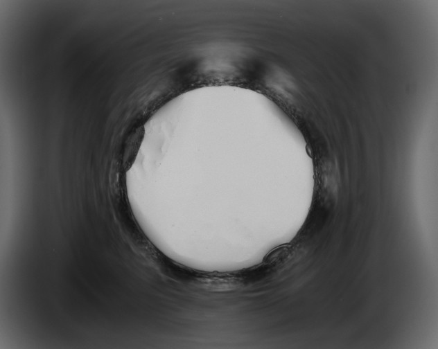 X0000084550615200703231738