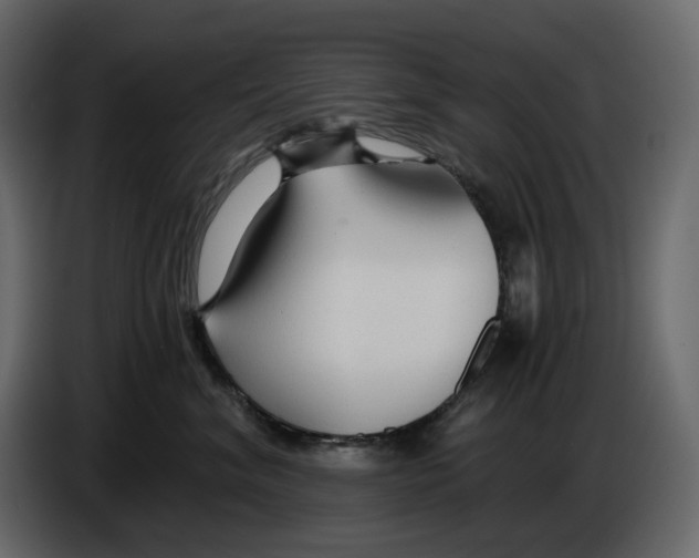 X0000084550620200703231738