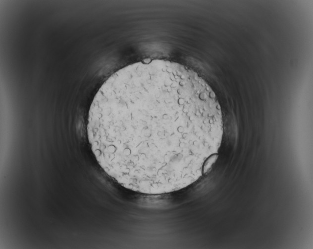 X0000084550622200703231738