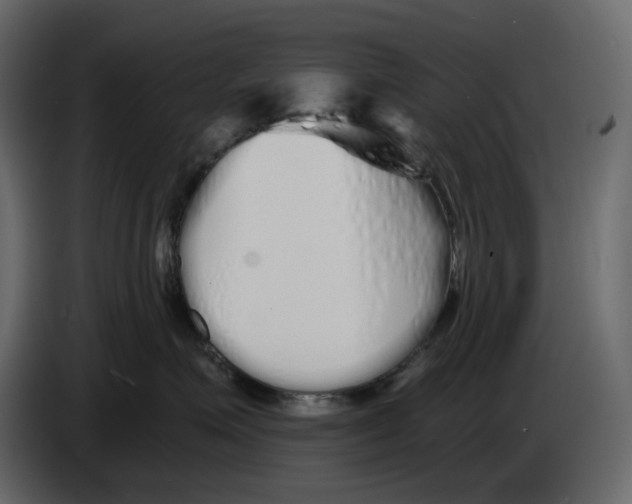 X0000084550623200703231738