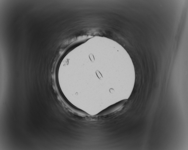 X0000084550624200703231738